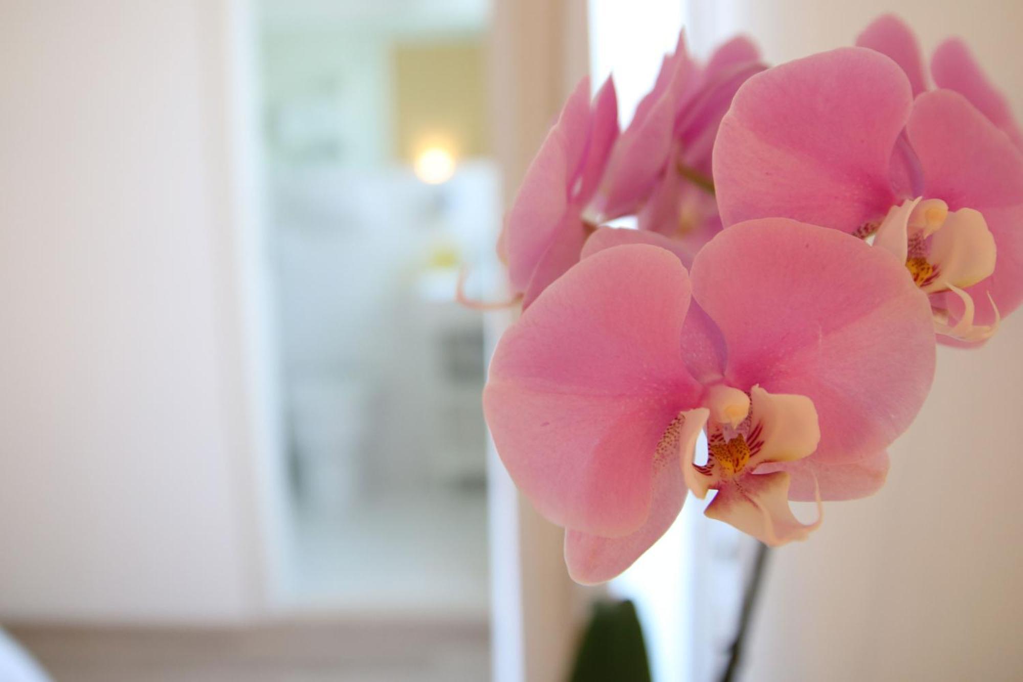 Maree Hotel เชเซนาติโก ภายนอก รูปภาพ